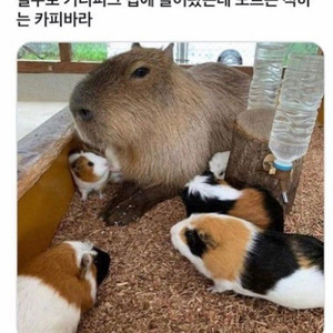 본체 구매합니다