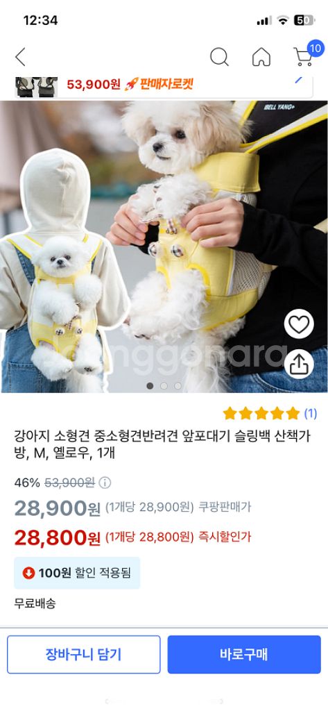 강아지 앞포대--1