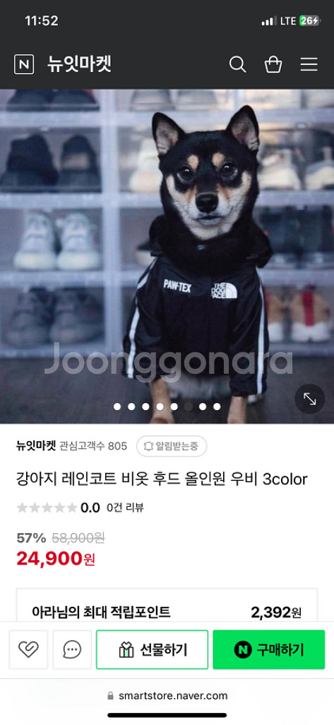 강아지 옷--2