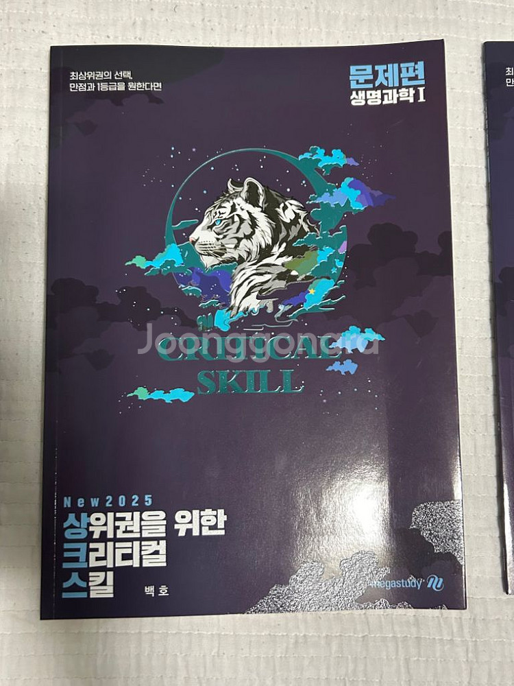 백호 상크스--1