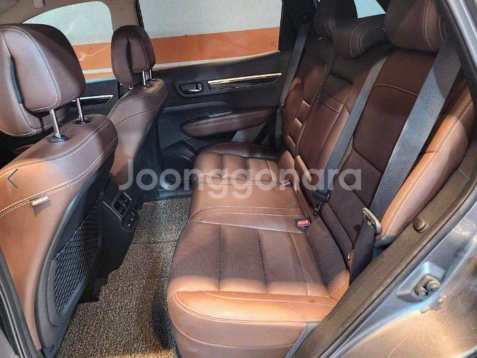 @17년식 QM6 2.0 dCi 4WD RE 시그니처--6