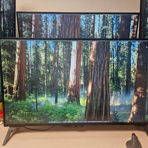 LG 43인치 4K UHD IPS 모니터 43UD79