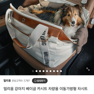 밀리옹 강아지 카시트 이동가방 팜