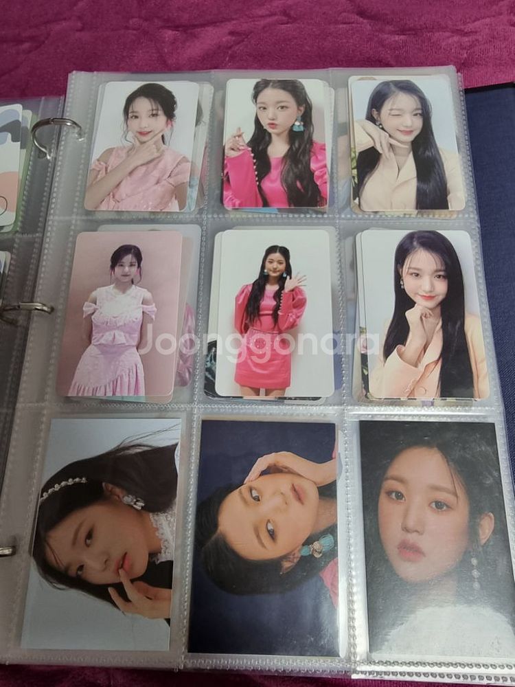 아이즈원 아이브 장원영 블룸아이즈 구성품 포카 콤프--1