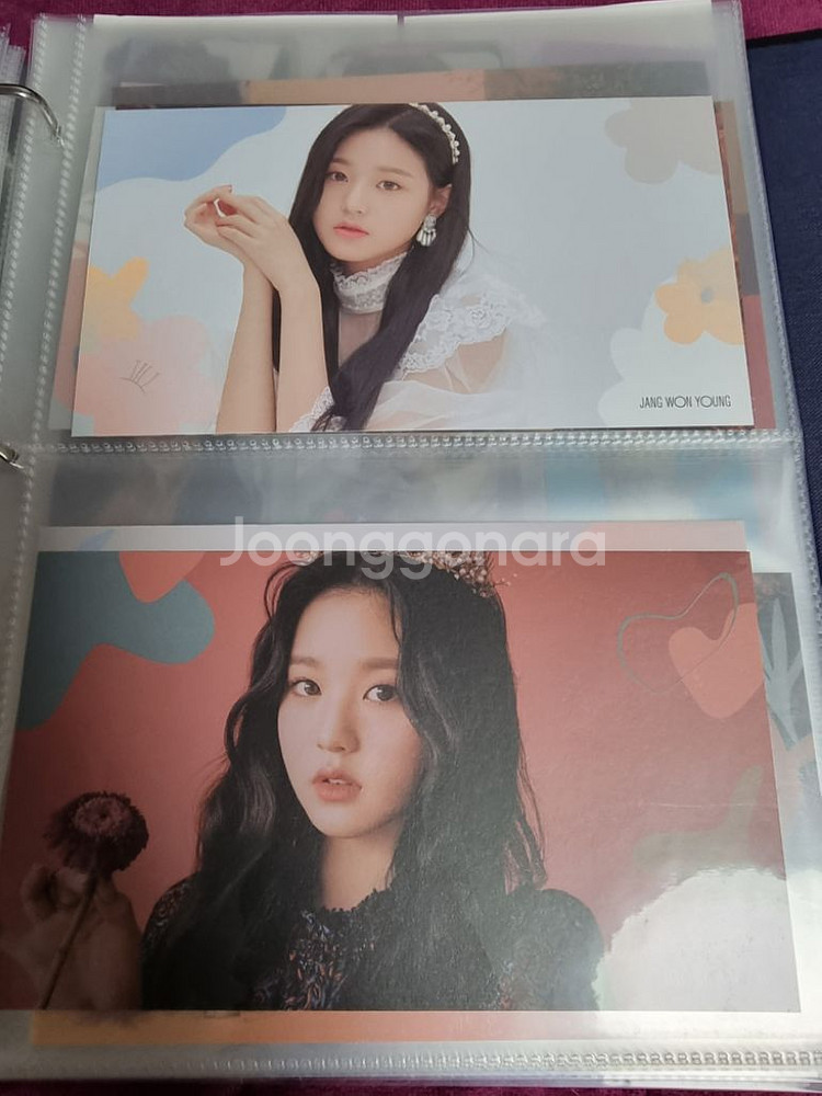 아이즈원 아이브 장원영 블룸아이즈 구성품 포카 콤프--3