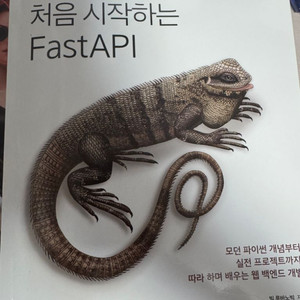 처음시작하는 FastAPI