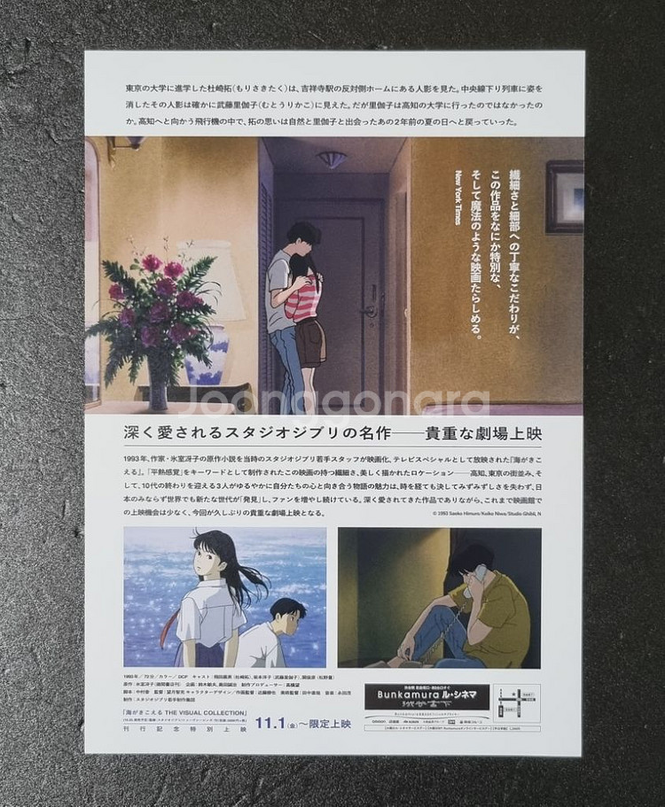 [영화팜플렛] 바다가들린다 일본 (2024) 지브리--1