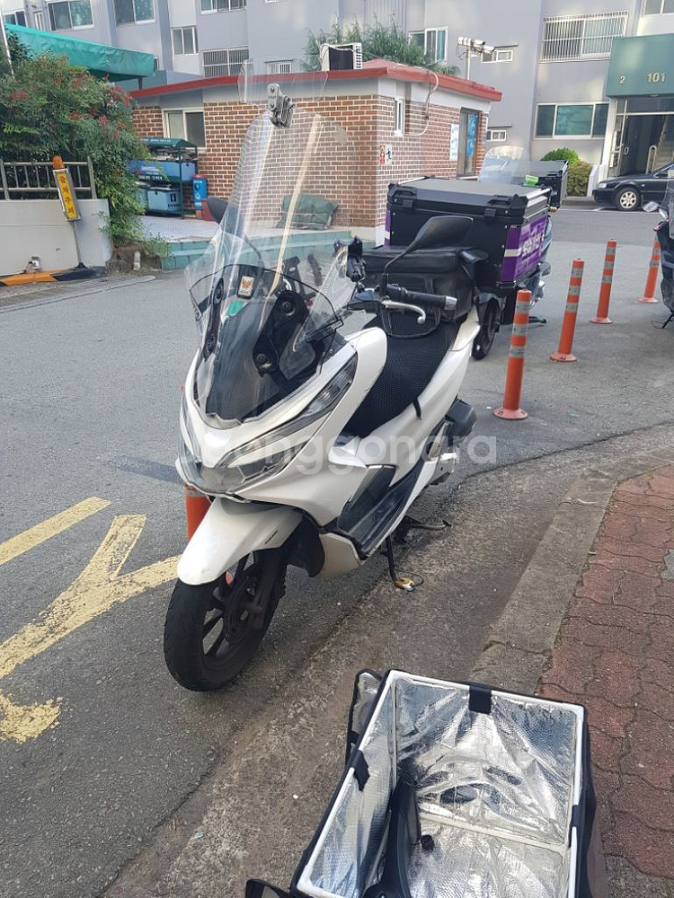 2019년식 혼다 PCX125--2