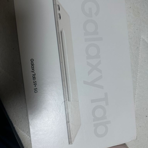 갤럭시탭 S9 플러스 5G 256G 베이지