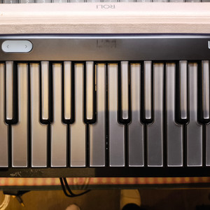 ROLI LUMI Keys (Piano M 구모델)