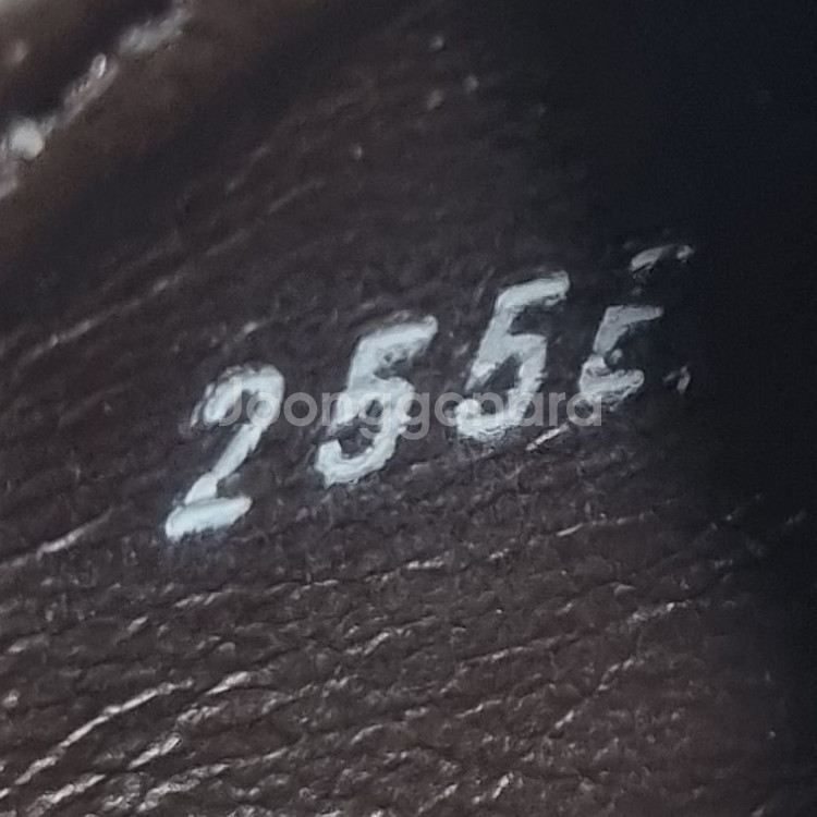 미쉘탠디 남성정장구두255--5