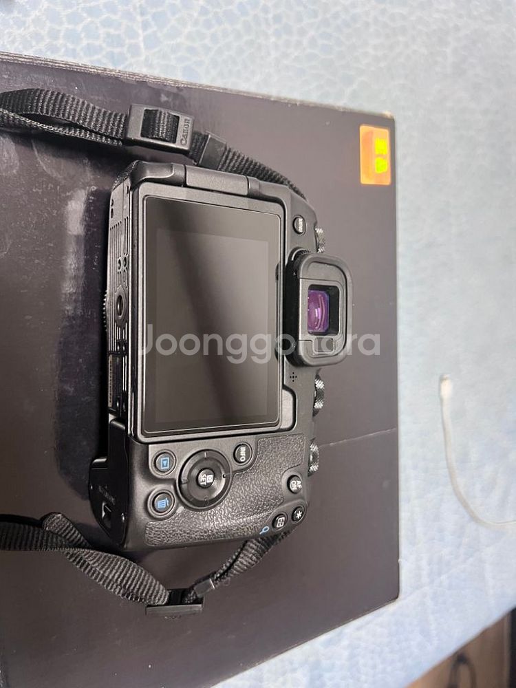 canon EOS rp--2