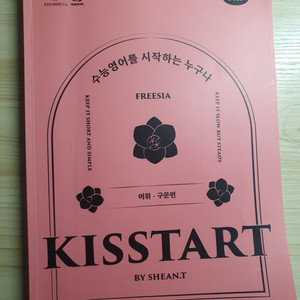 션티 2025 KISStart 입문