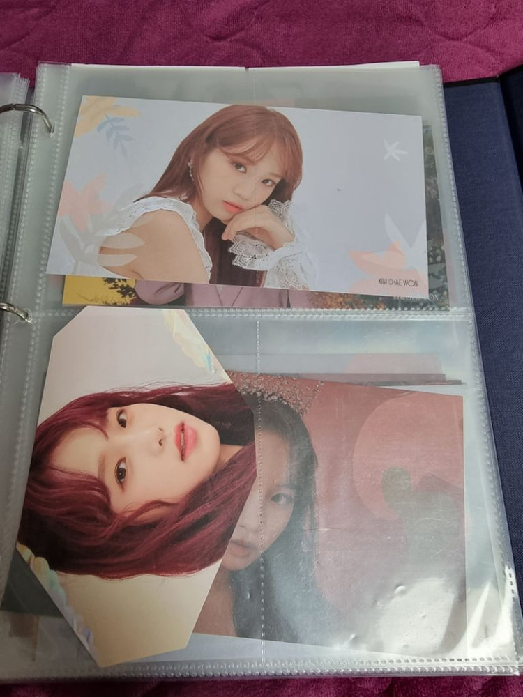 아이즈원 최예나 블룸아이즈 포카 일괄 이미지