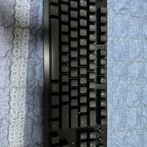 레이저 헌츠맨 v3 pro tkl 공방 풀 윤활