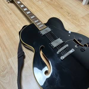 schecter diamond jazz 쉑터 다이아몬드