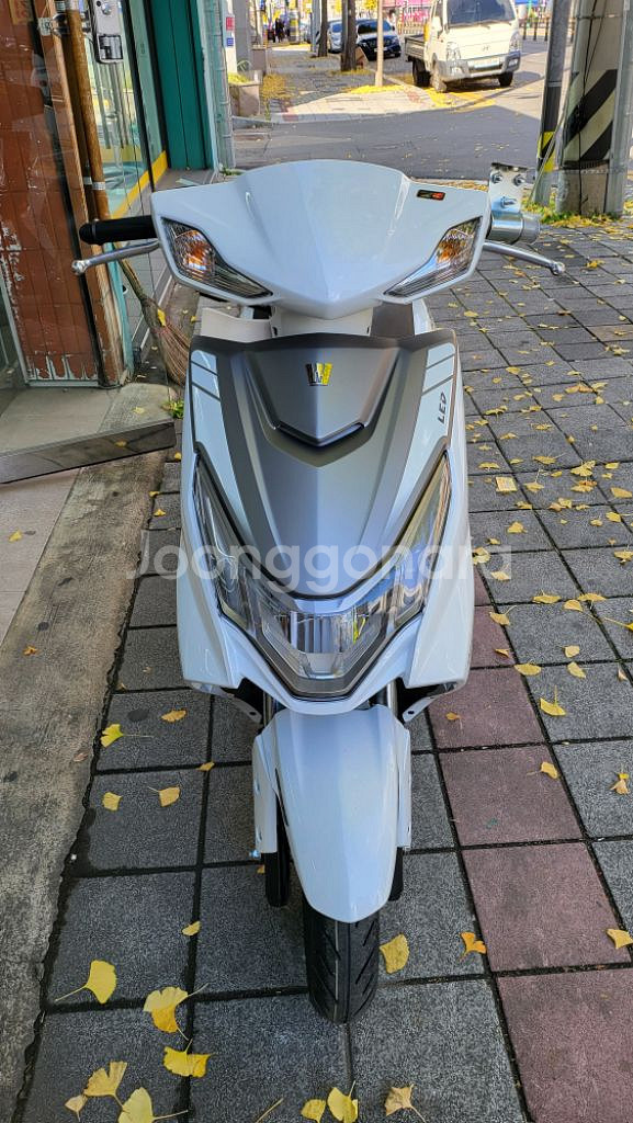 DVO125--2
