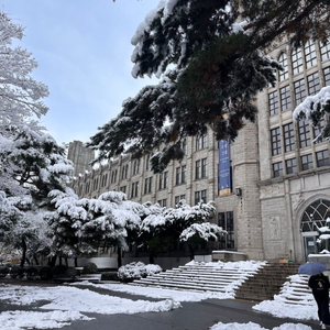 예약용) 머큐리얼 베이퍼