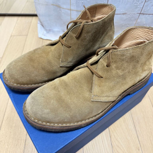 아스토플렉스 위스크 size 44