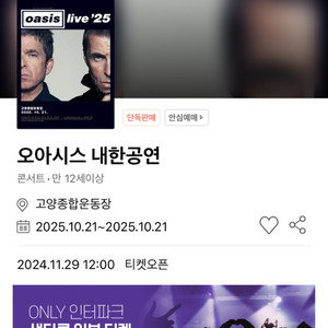 오아시스 내한 콘서트 지정석s n10구역 15열 2연석