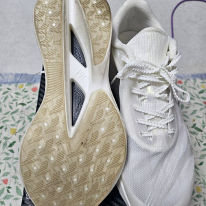 361도 퓨리어스 et 270mm