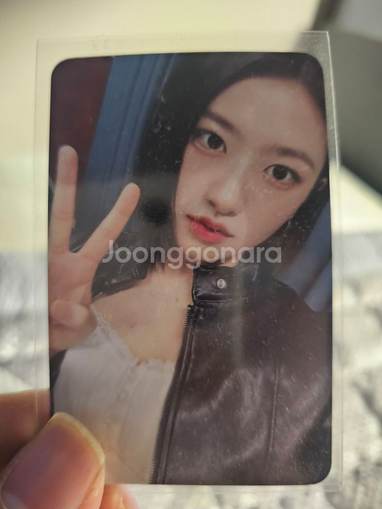 아이브 포카--2