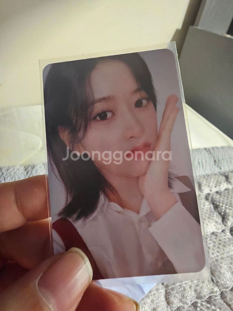 아이브 포카--4