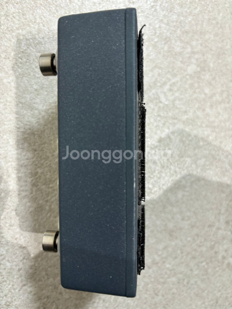 티렉스 리플레이 박스 딜레이 기타 이펙터--2