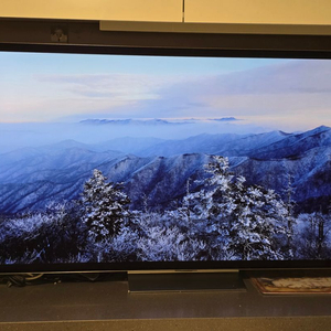 LG전자 올레드 evo OLED65G3KNA (스탠드)