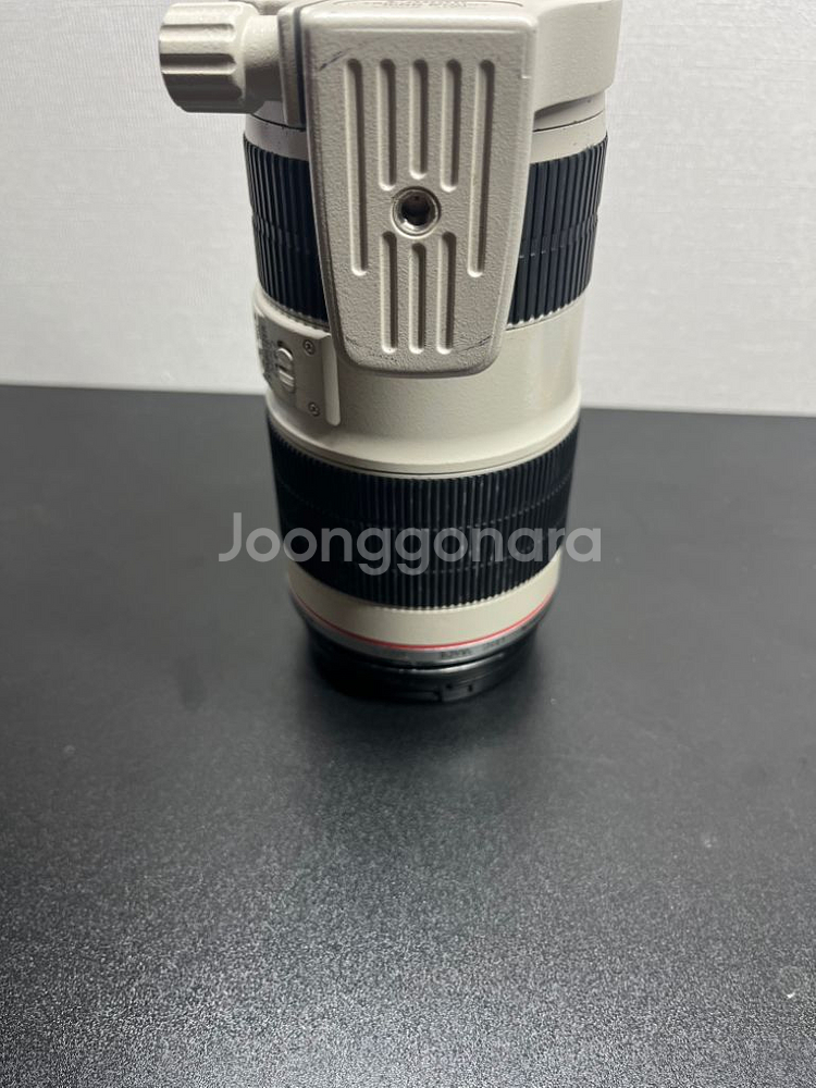 캐논 EF 70-200 F2.8L IS ii 새아빠--3
