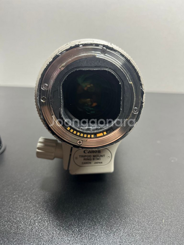 캐논 EF 70-200 F2.8L IS ii 새아빠--4