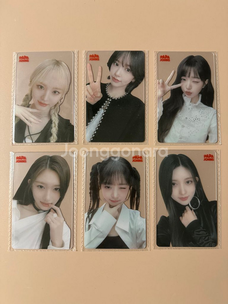 파파존스 아이브 포카--1