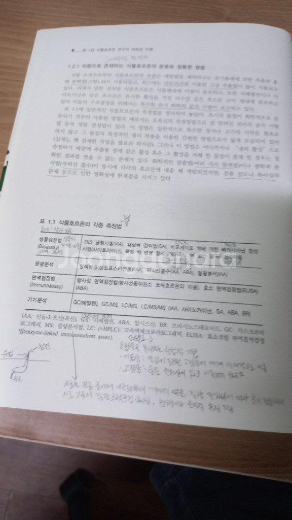 식물호르몬 월드사이언스--1