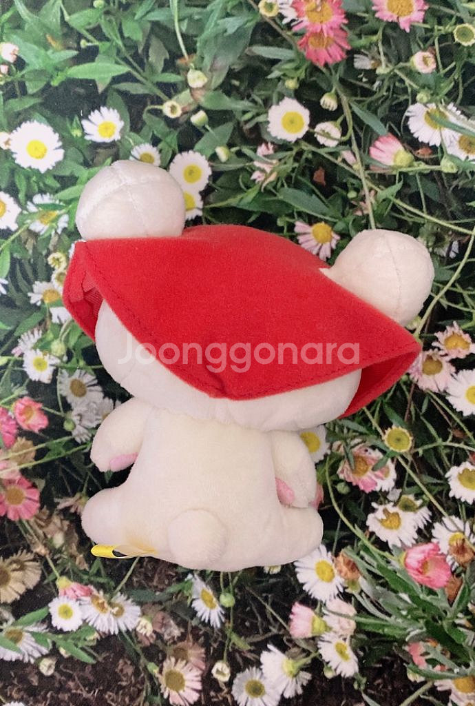 코리락쿠마 코리락 리락쿠마 리락 빨강망토 마스코트 인형--1