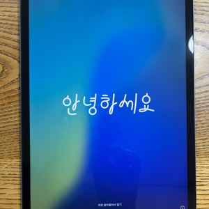 아이패드 프로 11 인치 m2 4세대 셀룰러 128GB