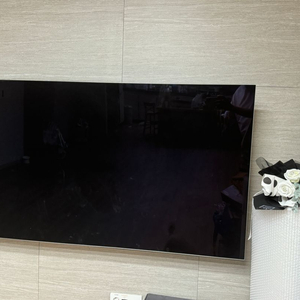 LG OLED 65인치 스마트 티비