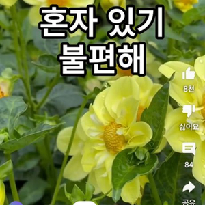 1314 구합니다 한우정액몇개 구해봅니다