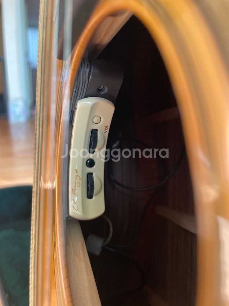 Martin(마틴) Adirondack HD16R 기타--6