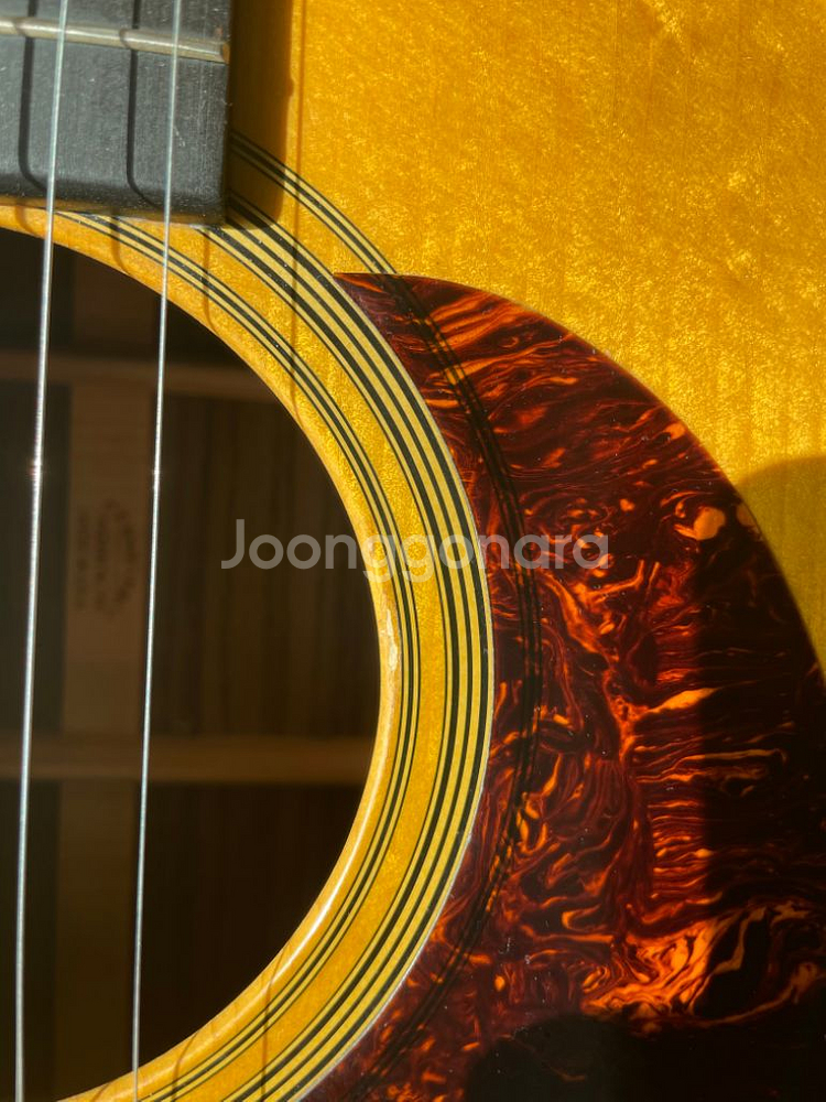 Martin(마틴) Adirondack HD16R 기타--3