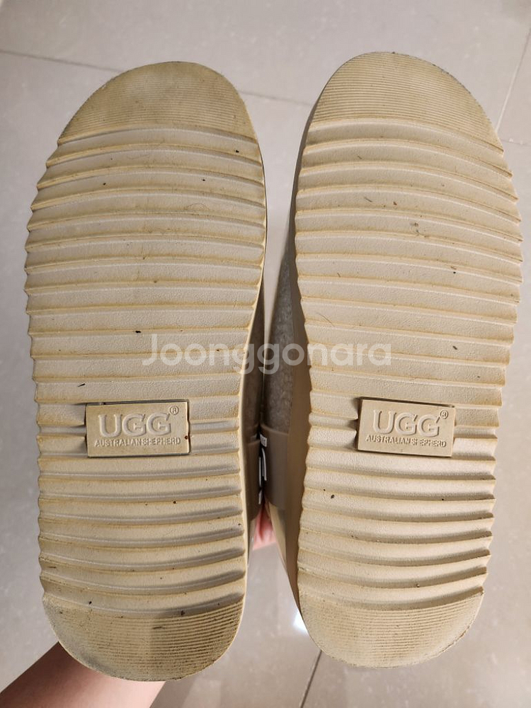 호주 어그 클리어 크림 EU36--4