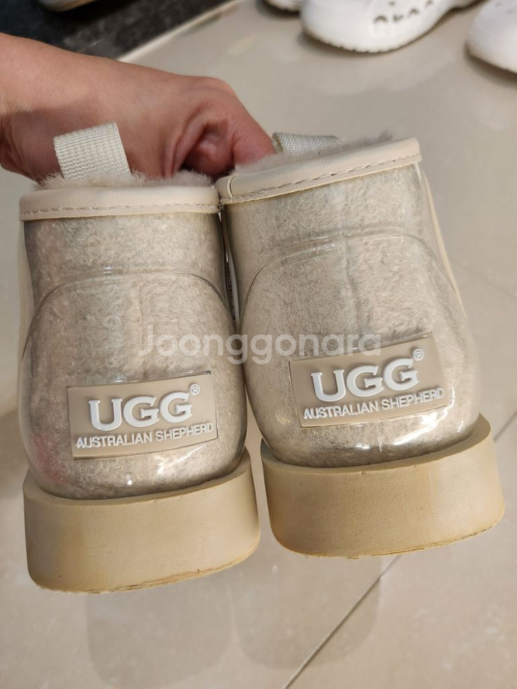 호주 어그 클리어 크림 EU36--2