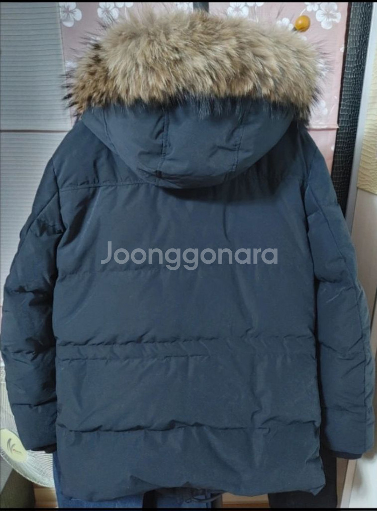 인터메조 리얼라쿤 구스다운 새제품 (선물용 추천!!)--1
