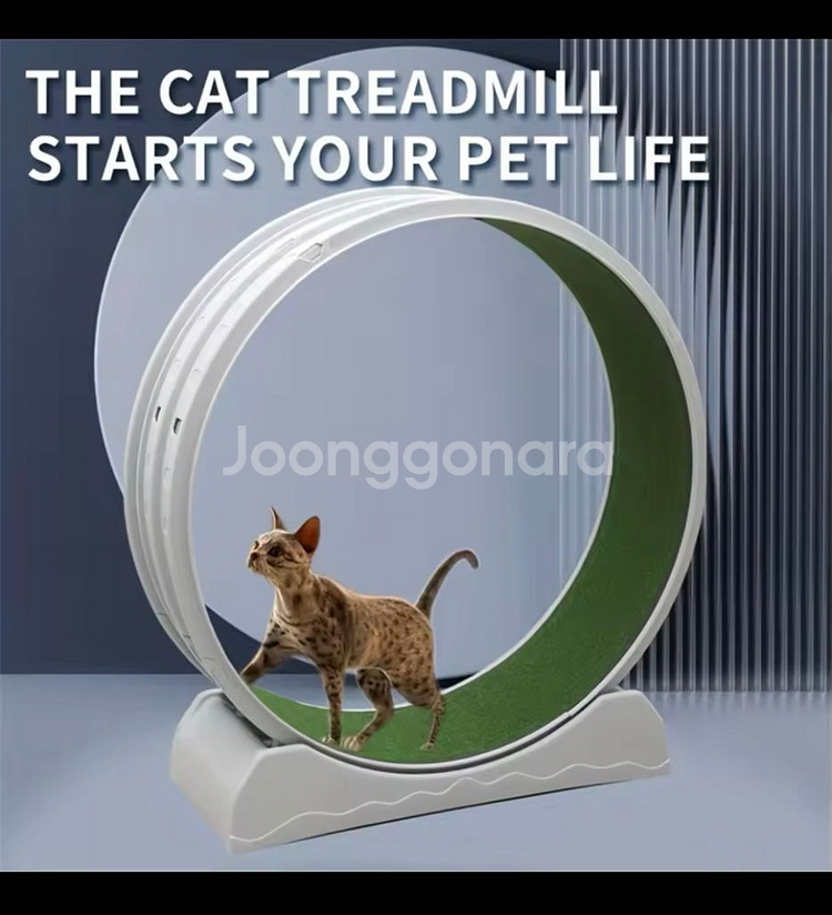 고양이 런닝머신--2