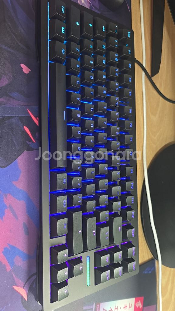 우팅 80he 팝니다--0