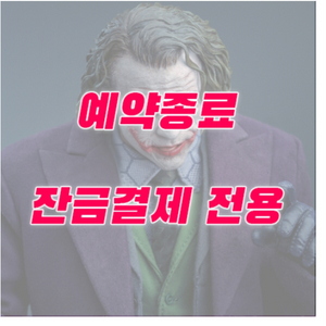 핫토이 dx32조커 조형모