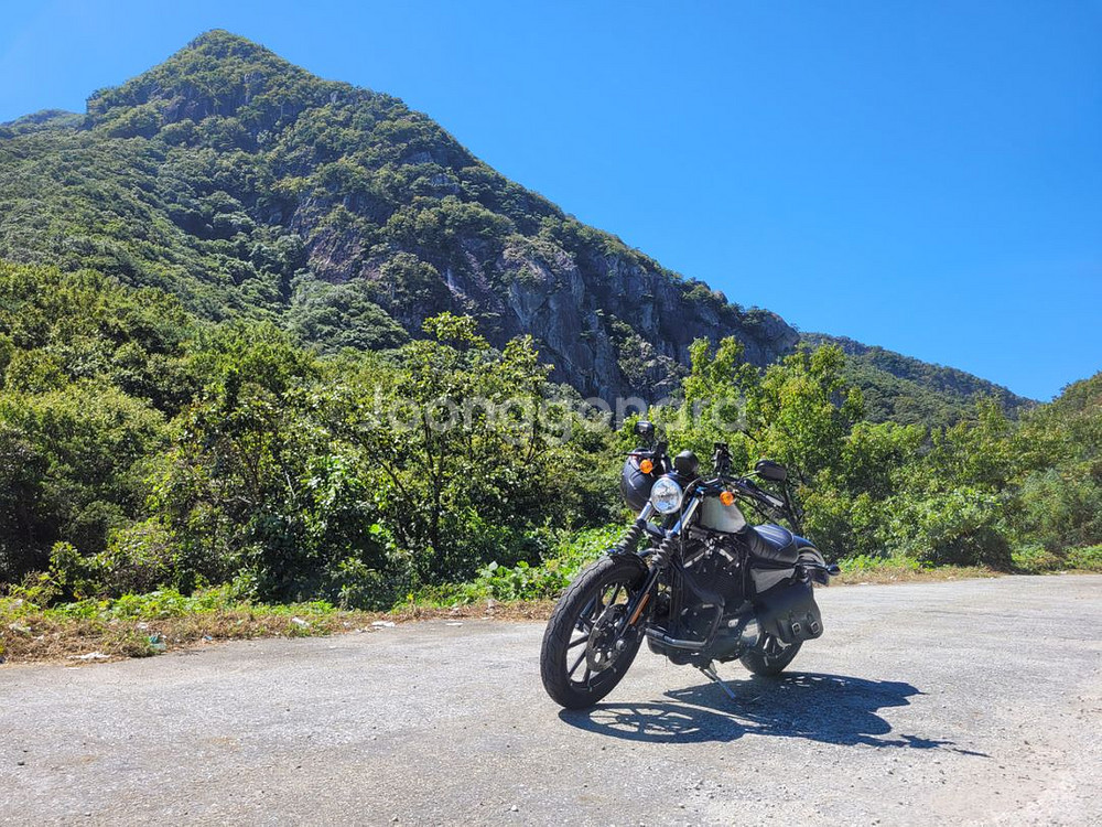 할리데이비슨 아이언883--2