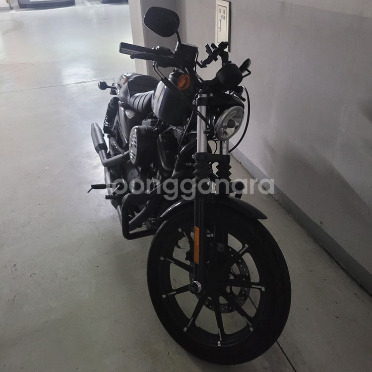 할리데이비슨 아이언883--4