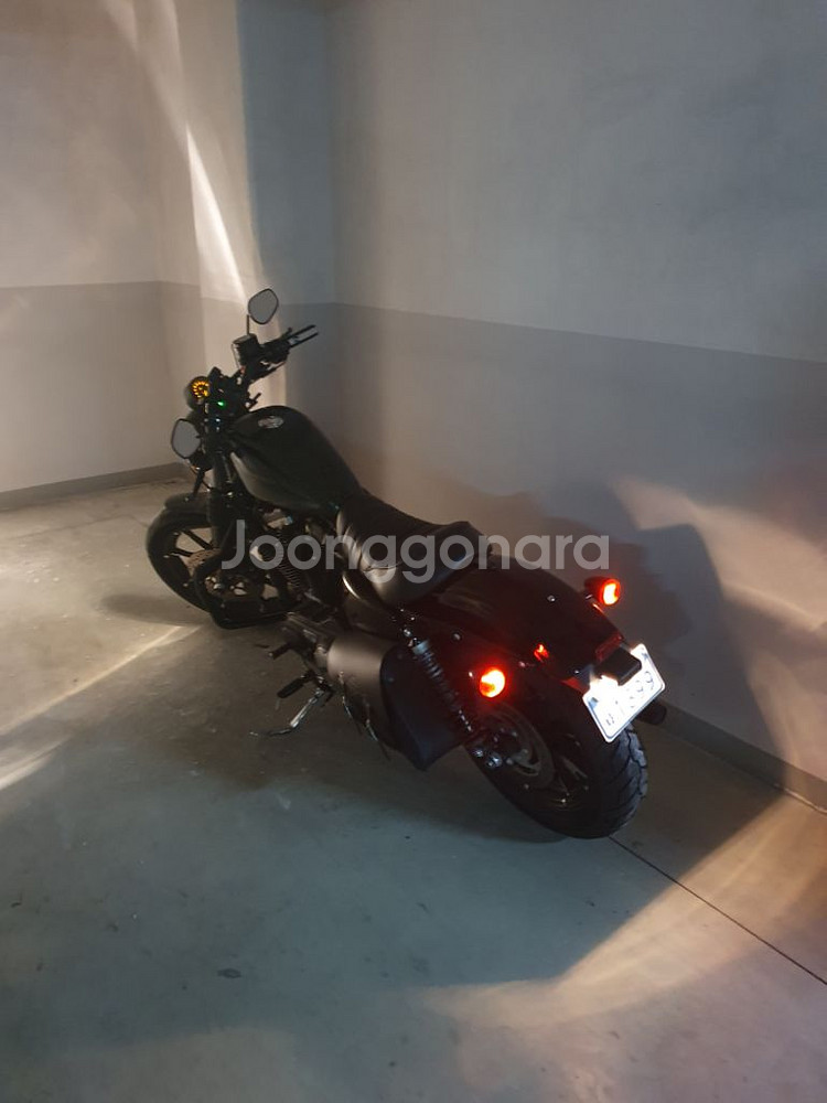 할리데이비슨 아이언883--3