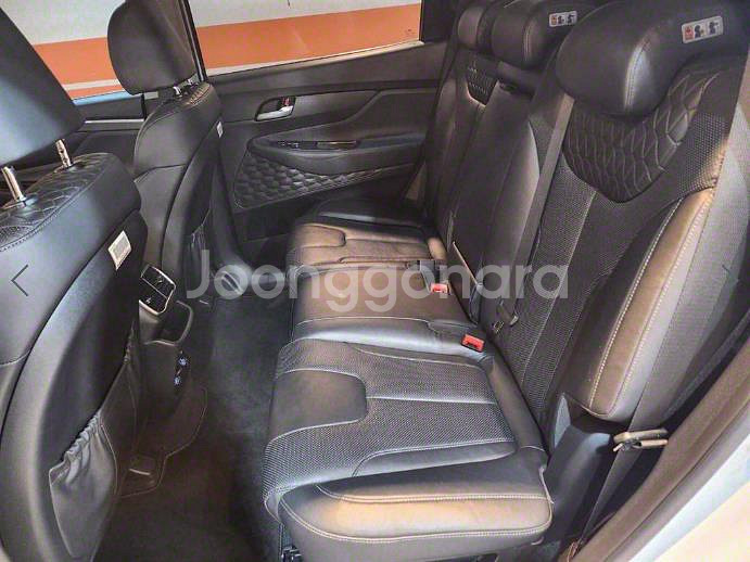 @18년식 싼타페(TM) R2.2 2WD 익스클루시브--5