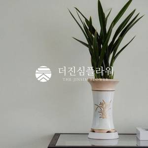 산천조(보세) 동양란